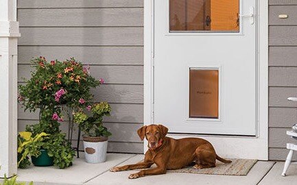 37079-petdoor