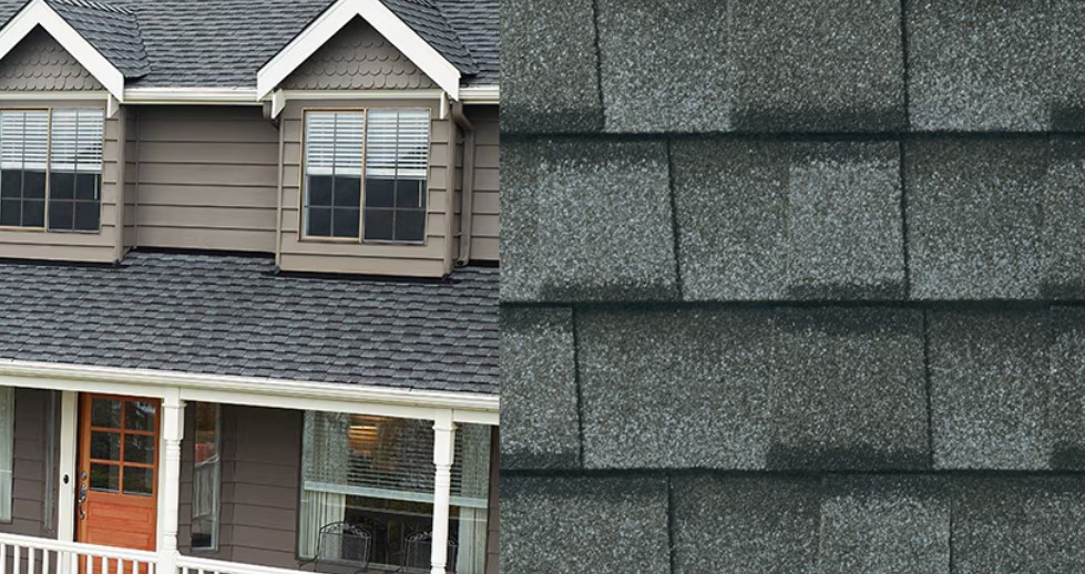 Timberline UHDZ Shingles